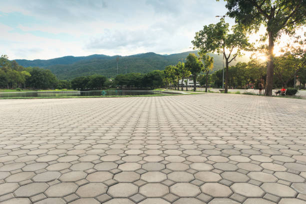 Best Driveway Paver Sealing  in Edgecliff Village, TX